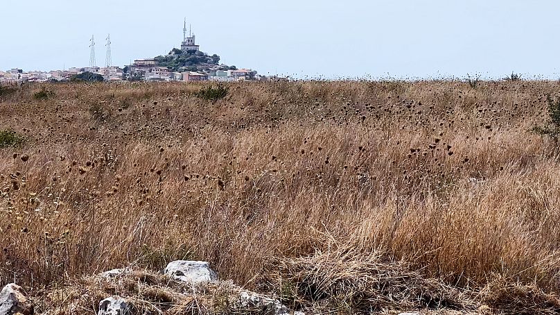 La Sicile connaît l'une des pires sécheresses des dernières décennies