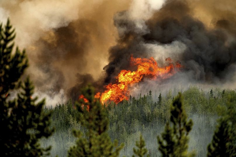 Les flammes de l'incendie de forêt de Donnie Creek brûlent le long d'une crête au nord de Fort St. John, en Colombie-Britannique, au Canada.