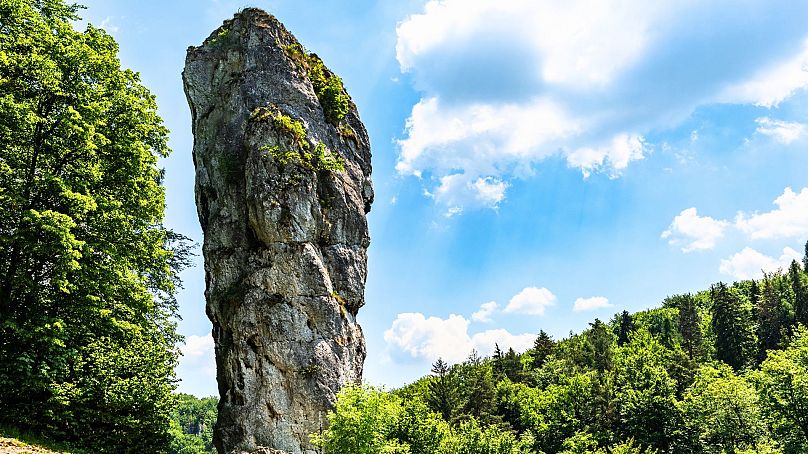 Formation rocheuse de la masse d'Hercule dans le parc national d'Ojcowski, en Pologne.