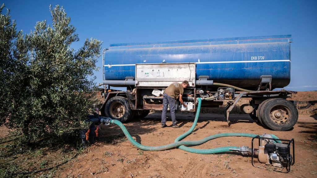 Dimitris Papadakis Jr uses a tanker to water an olive grove in the village of Nea Silata, Halkidiki, northern Greece, 19 August 2024.