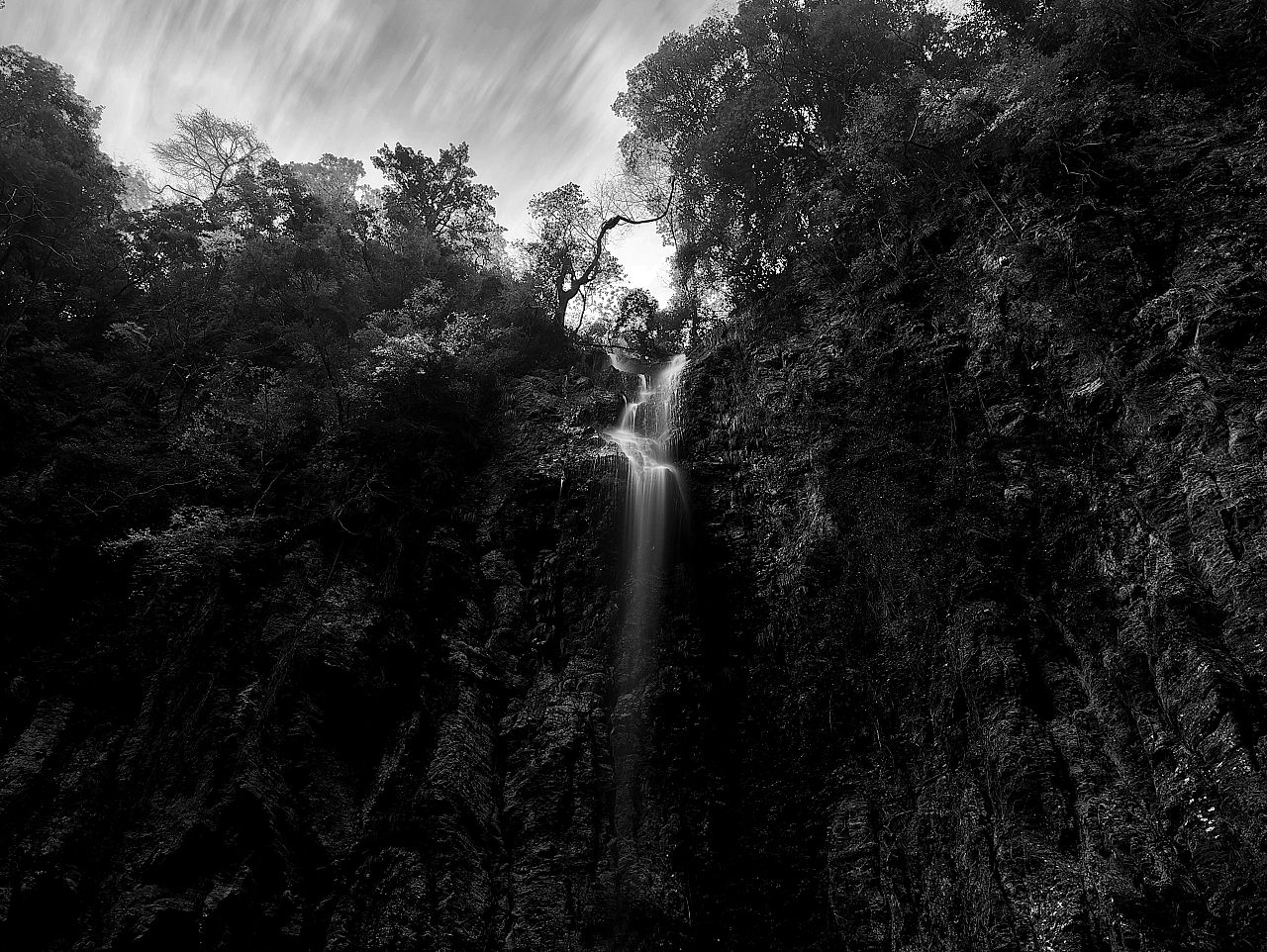 « Stream » de Shinya Itahana (catégorie Nature, 1ère place) 