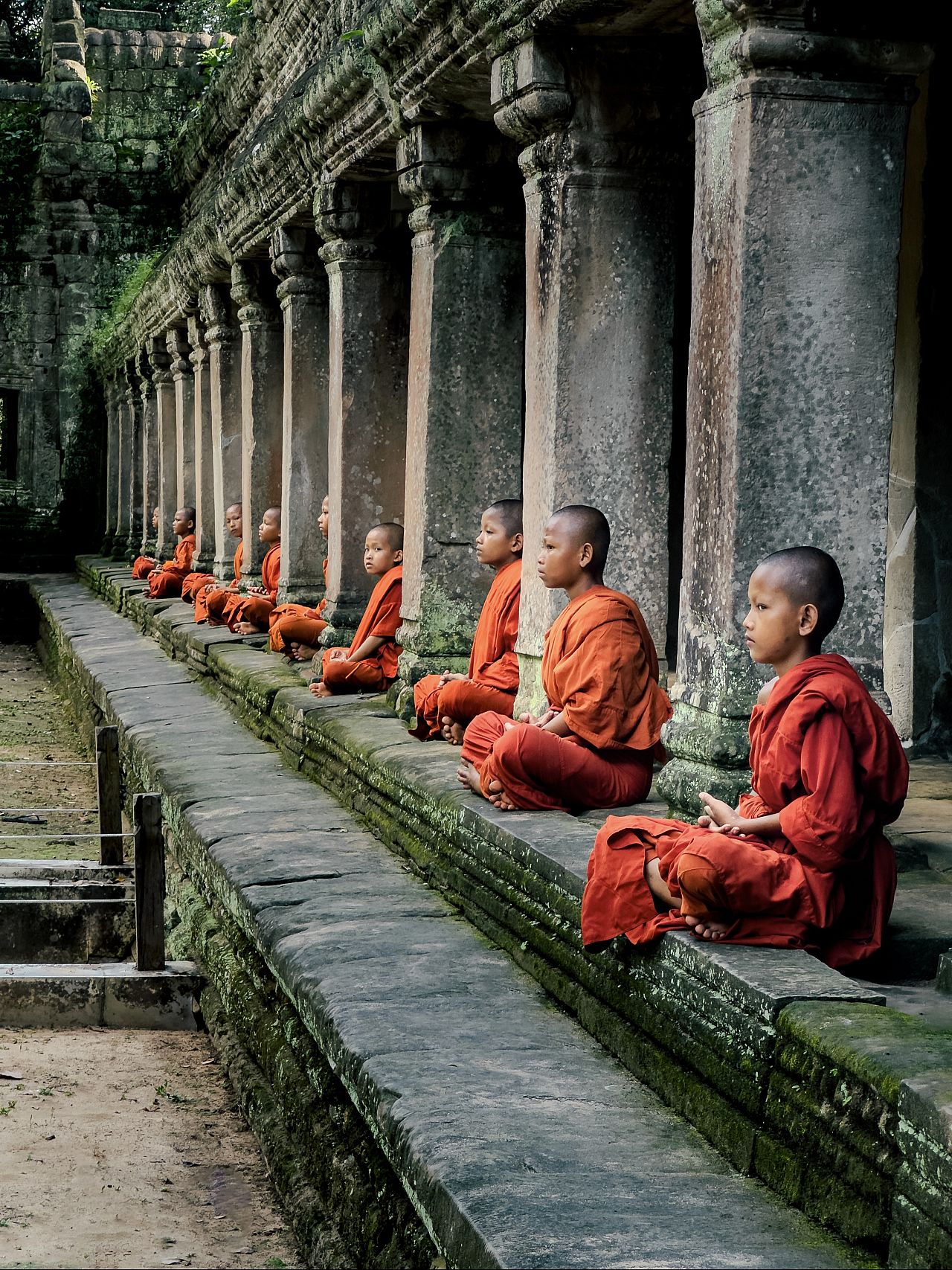 « Pupils » de Mogli Maureal (Photographe de l'année, 2e place) 