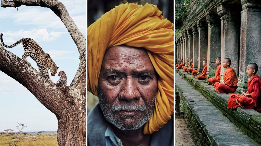 Oompa loompas, léopards et moines bouddhistes : le meilleur des iPhone Photography Awards 2024