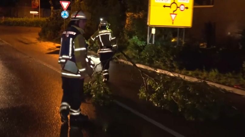 Des pompiers s'occupent d'un arbre tombé en Bavière.