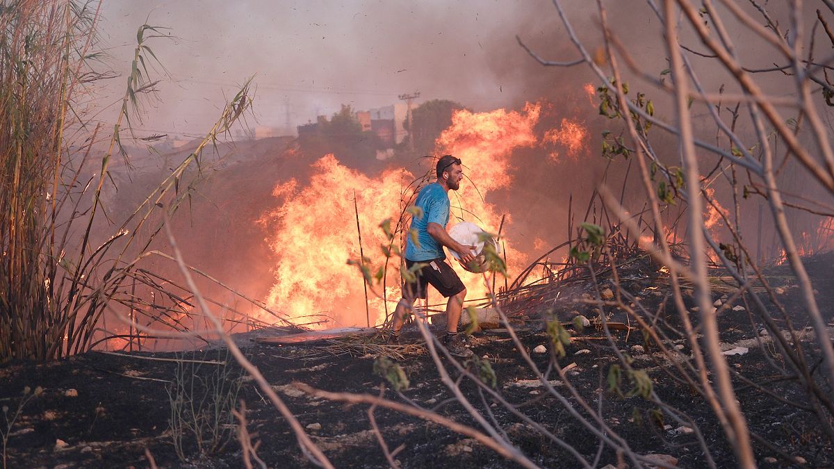 A volunteer tries to extinguish the fire in northern Athens, 12 August 2024