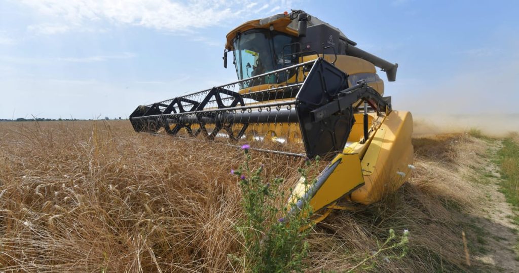 La France connaît sa pire récolte de blé depuis 40 ans