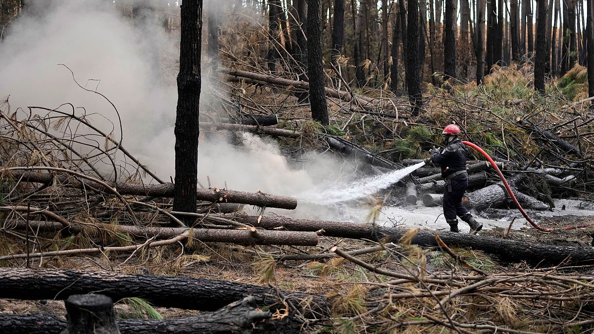 A firefighter sprays water to put out the remains of fires in a forest, south of Bordeaux in 2022.