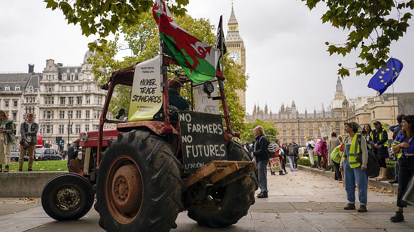 Un drapeau de l'UE est visible lors d'une marche pour exiger plus d'ambition du gouvernement sur la politique alimentaire et agricole du Royaume-Uni, à Londres, le samedi 15 octobre 2022