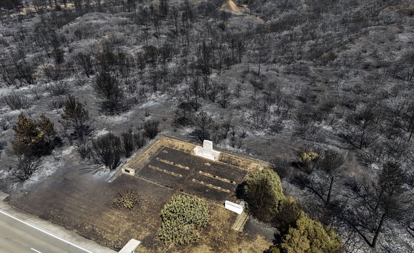 Une partie de la zone d'incendie de forêt éteinte sur la plage d'Anzac Cove près de Canakkale, en Turquie, le vendredi 16 août 2024.