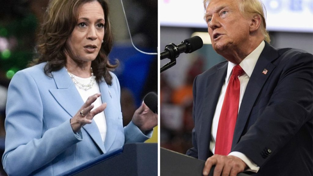 Vice President Kamala Harris on July 30, 2024, left, and Republican presidential candidate former President Donald Trump on Aug. 3.