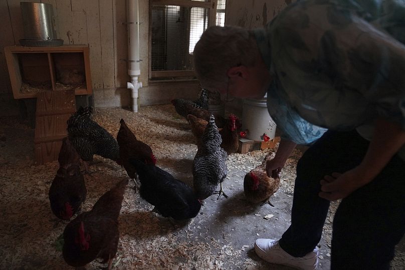 Sœur Helen Mueting nourrit les poulets au monastère bénédictin du Mont Sainte-Scholastique.