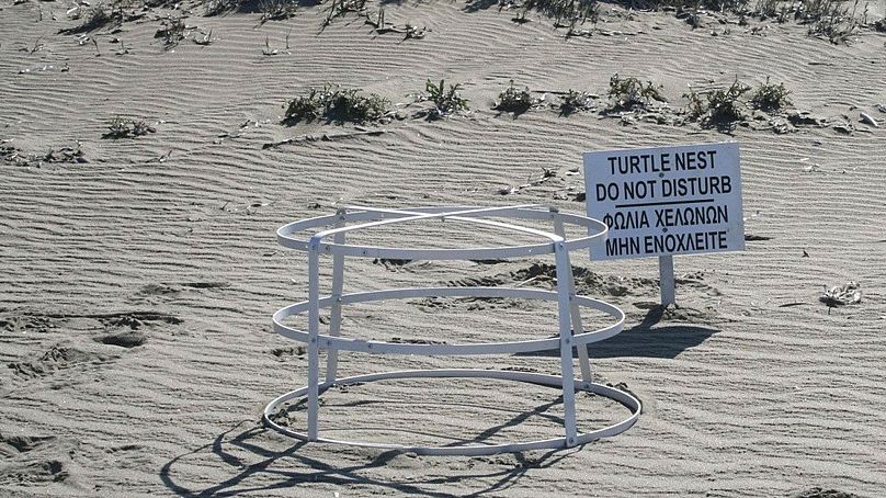 La zone d'un nid de tortue sur la plage près de la base britannique d'Akrotiri, près de la ville côtière de Limassol, à Chypre.