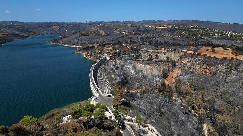 Les forêts noircies autour du lac Marathon, qui avait été brûlé lors d'un incendie de forêt à la mi-août, sont visibles d'en haut à environ 36 kilomètres au nord d'Athènes, le 22 août 2024.