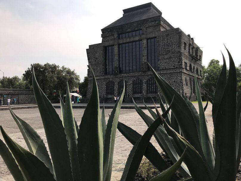 Sur cette photo prise à Mexico le 31 octobre 2017, des plantes encadrent le musée Anahuacalli de Diego Rivera