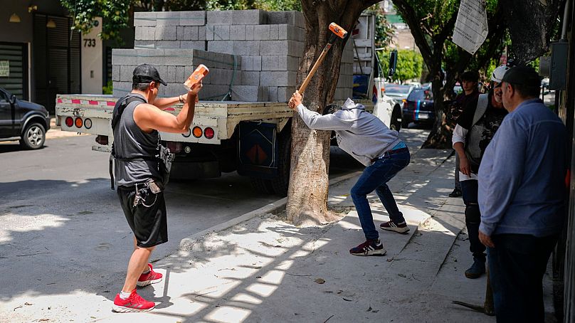 Des membres de The Tree Army, un groupe qui travaille à l'amélioration de la forêt urbaine, brisent le béton placé sur les racines des arbres à Mexico, le 26 août 2024. 