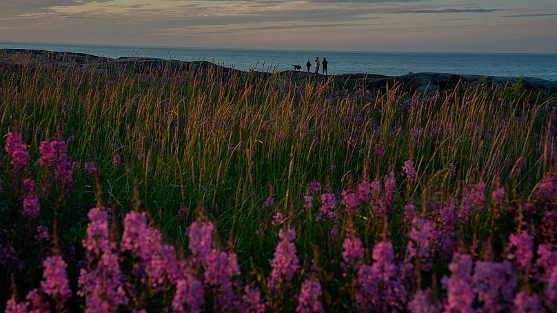 Une famille se tient près de la baie d'Hudson, le 3 août 2024, à Churchill, au Manitoba. 