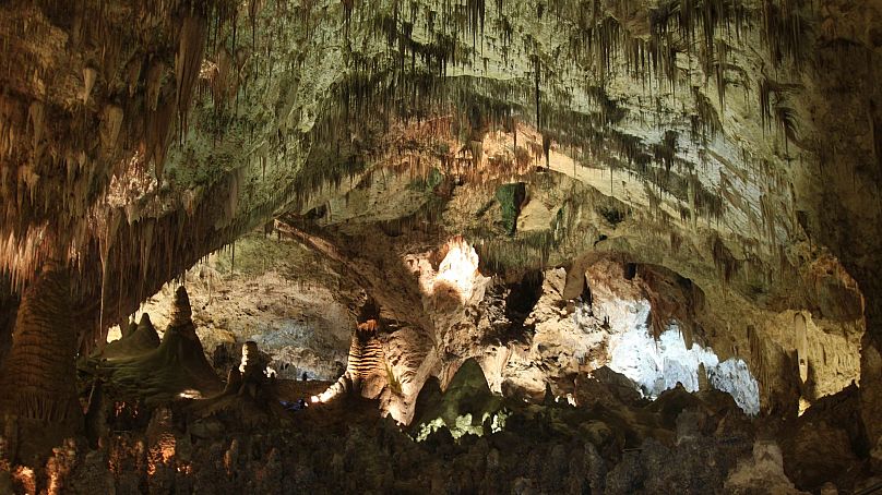 Des centaines de formations de grottes sont présentées décorant la grande salle du parc national des grottes de Carlsbad près de Carlsbad, au Nouveau-Mexique, en décembre 2010. 