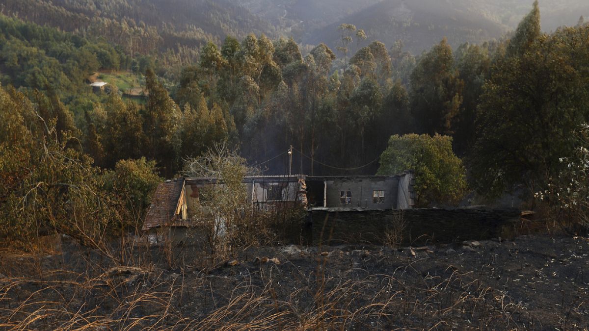 Portugal observes day of national mourning in memory of fire victims