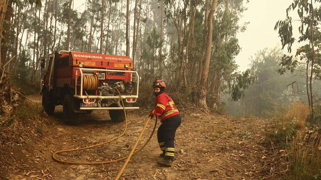 A firefighter pulls a hose while working to extinguish a fire in an eucalyptus forest on the outskirts of Sever do Vouga, Portugal on Wednesday, Sept. 18, 2024.