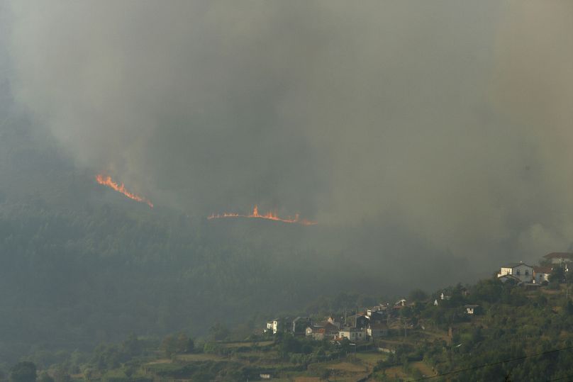 Un incendie ravage une forêt à proximité de maisons près de Castro Daire, une ville située dans l'une des régions du nord du Portugal touchées par les incendies de forêt.