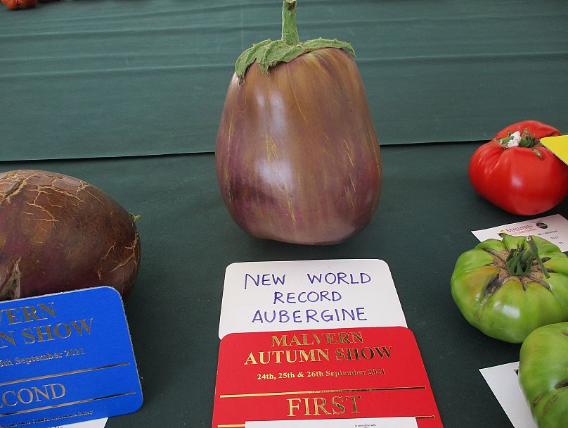 L'un des légumes qui ont battu tous les records de Peter.