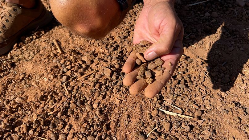 La matière organique du sol augmente sa capacité à stocker l'eau