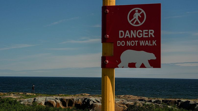 Un jeune homme surveille la présence d'ours polaires potentiels alors qu'il marche près de la baie d'Hudson, le 3 août 2024, à Churchill, au Manitoba. 