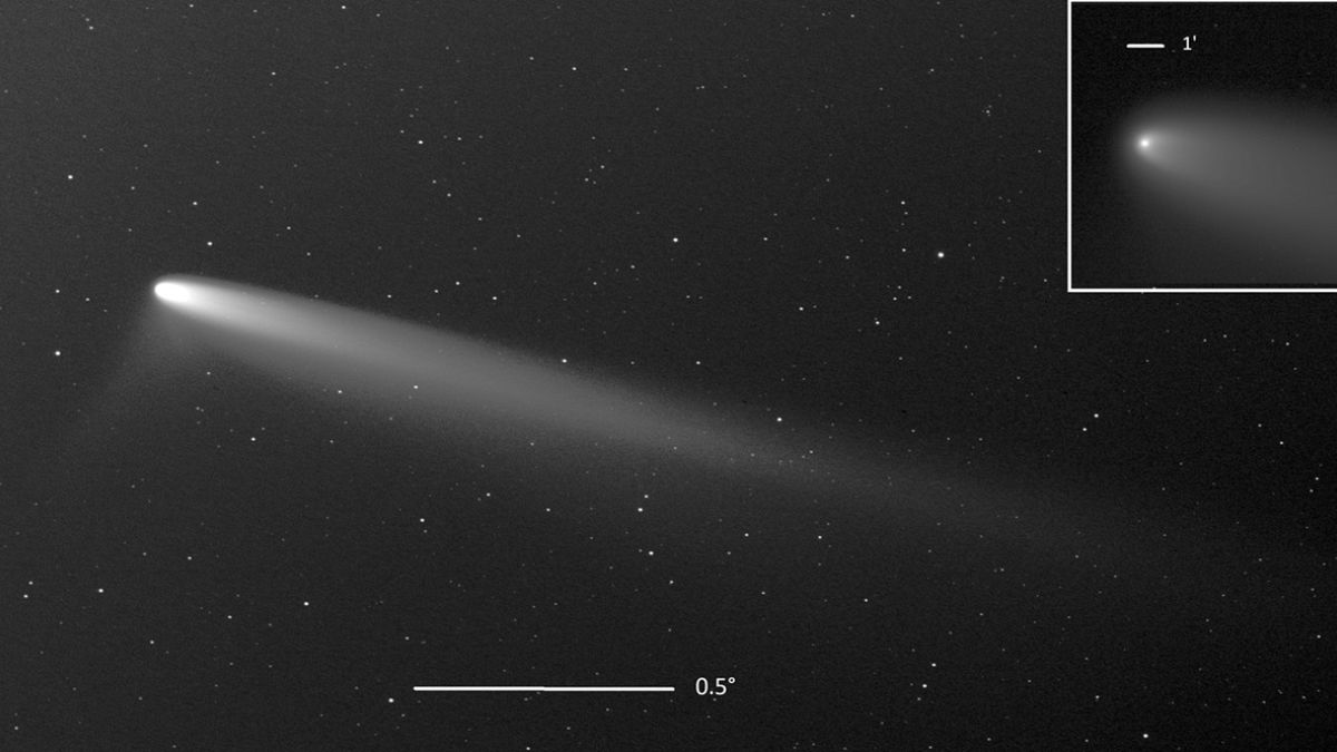 Comet C/2023 A3 (Tsuchinshan-ATLAS) photographed on 24 September 2024, at 9:13 UTC, from SpaceObs, in San Pedro de Atacama (Chile) with a telescope.