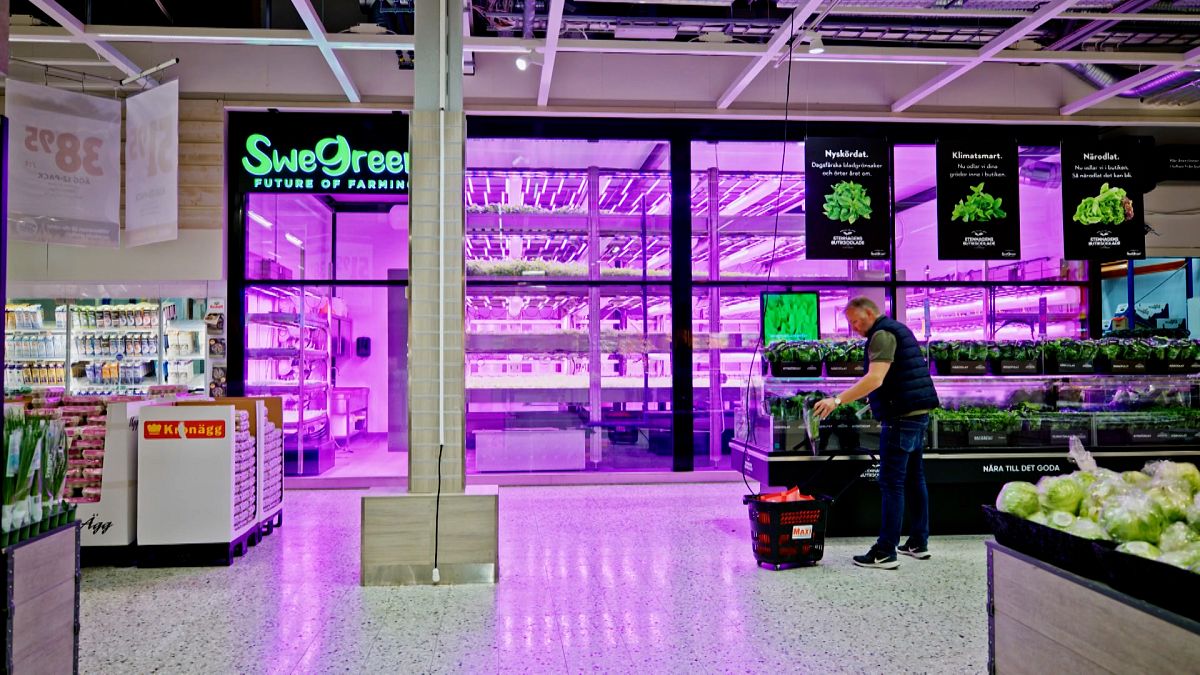 A man buys vegetables from a SweGreen instalment in a supermarket in Uppsala, Finland.