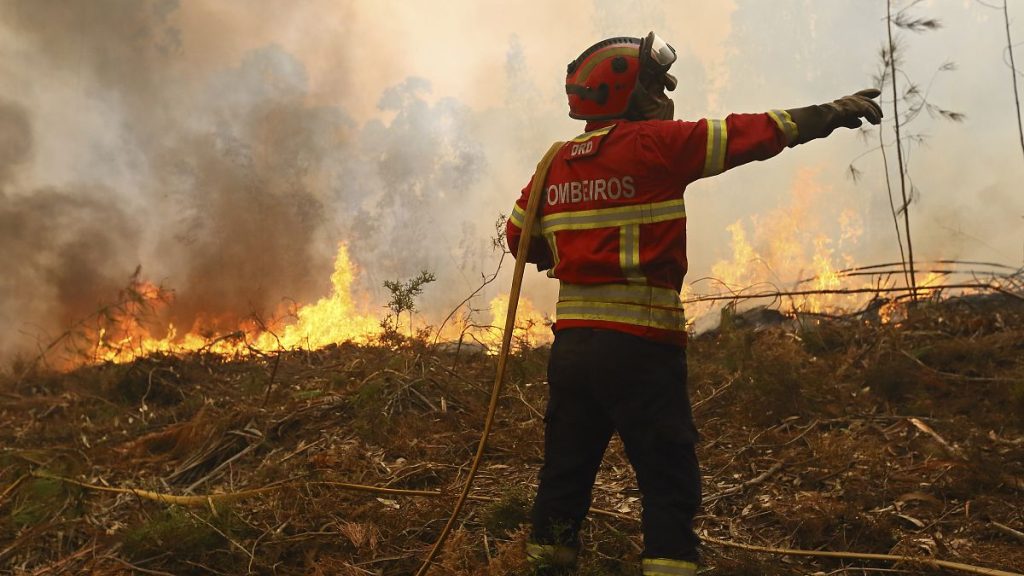 Around 4,000 firefighters on the ground fighting 19 ongoing fires