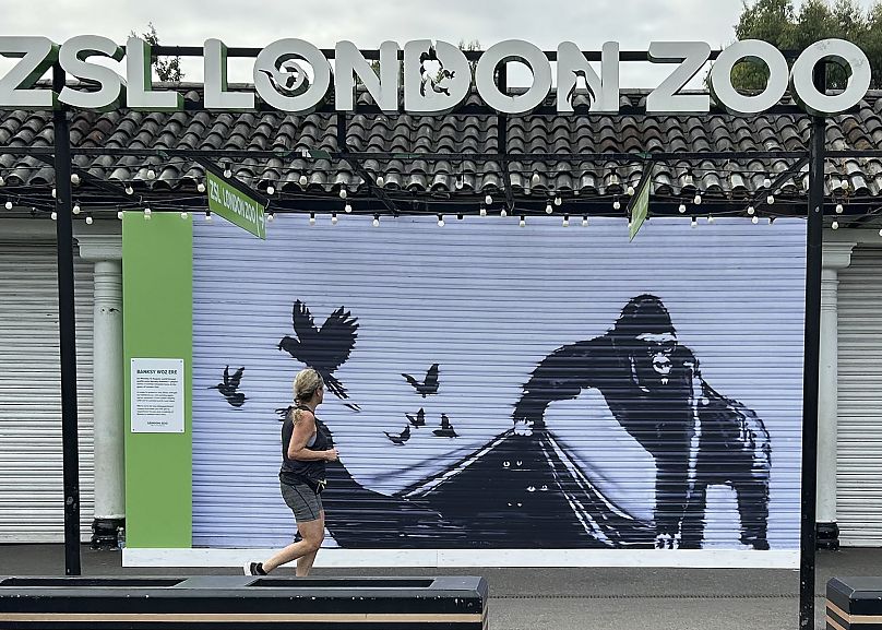 Un coureur passe devant une reproduction d'une fresque murale de Banksy à l'extérieur du zoo de Londres, le 18 août 2024