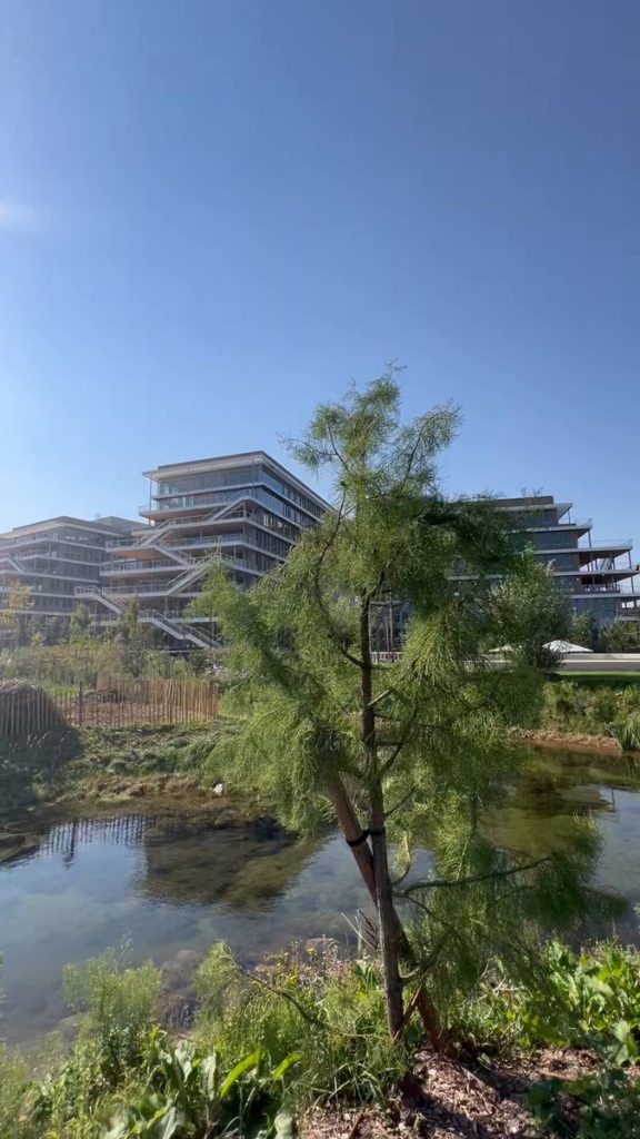 Il n’y avait ici que du béton. Nous y inaugurons l’Arboretum, le plus grand campus de bureaux en bois massif d’Europe.Empreinte carbone minimale, utilisation de la géothermie et 1000 arbres plantés : une illustration de l’écologie à la française.