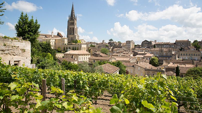 Un vignoble à Saint Emilion, Bordeaux