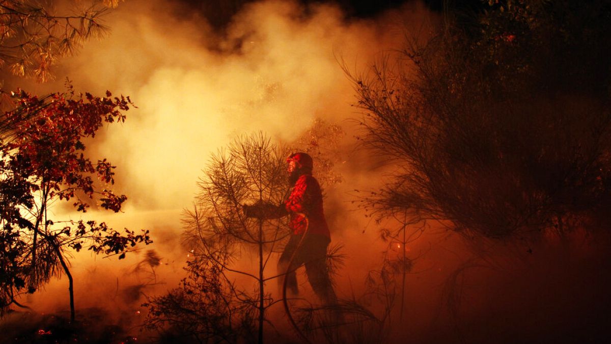 A Portuguese firefighter works on a fire in Tondela, near Viseu, Portugal, Thursday night, Aug. 22, 2013.