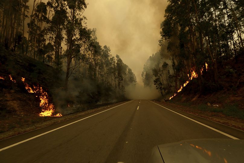 Un incendie de forêt progresse près de Sever do Vouga, une ville du nord du Portugal qui a été encerclée par des incendies de forêt, le mardi 17 septembre 2024.