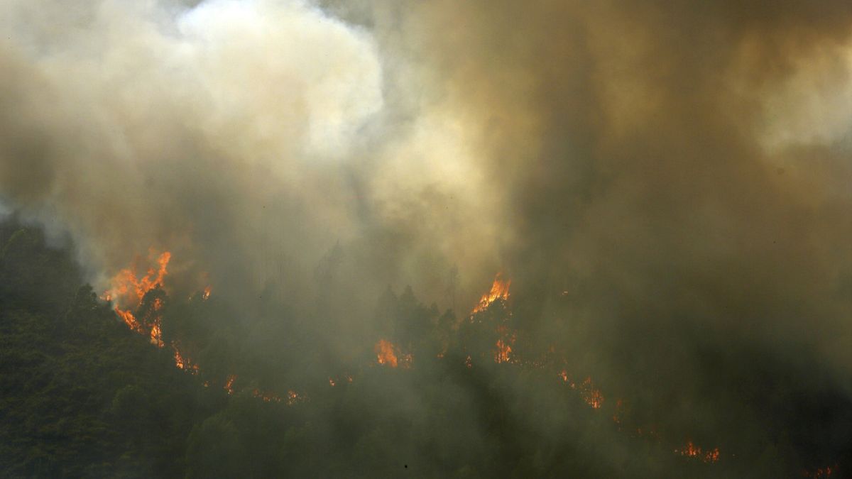 Trees burn on a hillside near Castro Daire, a town in one of the areas in northern Portugal worst hit by the forest fires of the recent days, Thursday, Sept. 19, 2024.