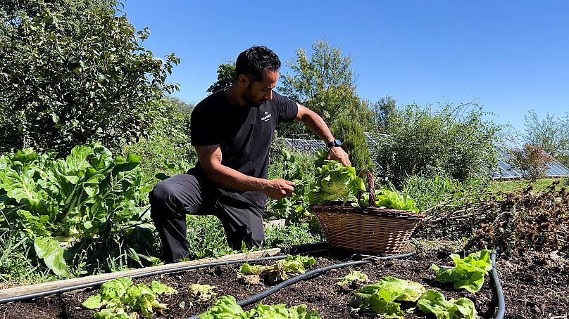 L'hôtel Can Buch mise sur la permaculture et l'agriculture régénérative