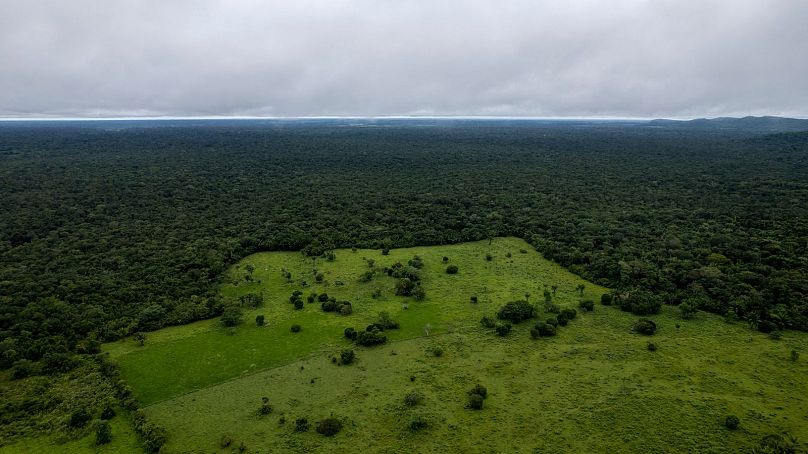 Une vue depuis Cerro Azul, Guaviare, en Colombie, contraste avec la forêt amazonienne vierge et les terres déboisées.