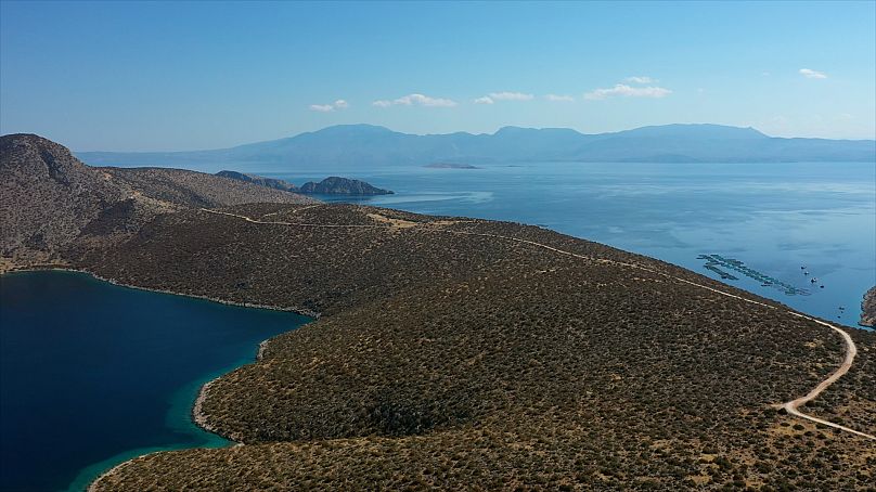 L'élevage de bar se trouve dans une baie isolée du golfe Corinthien