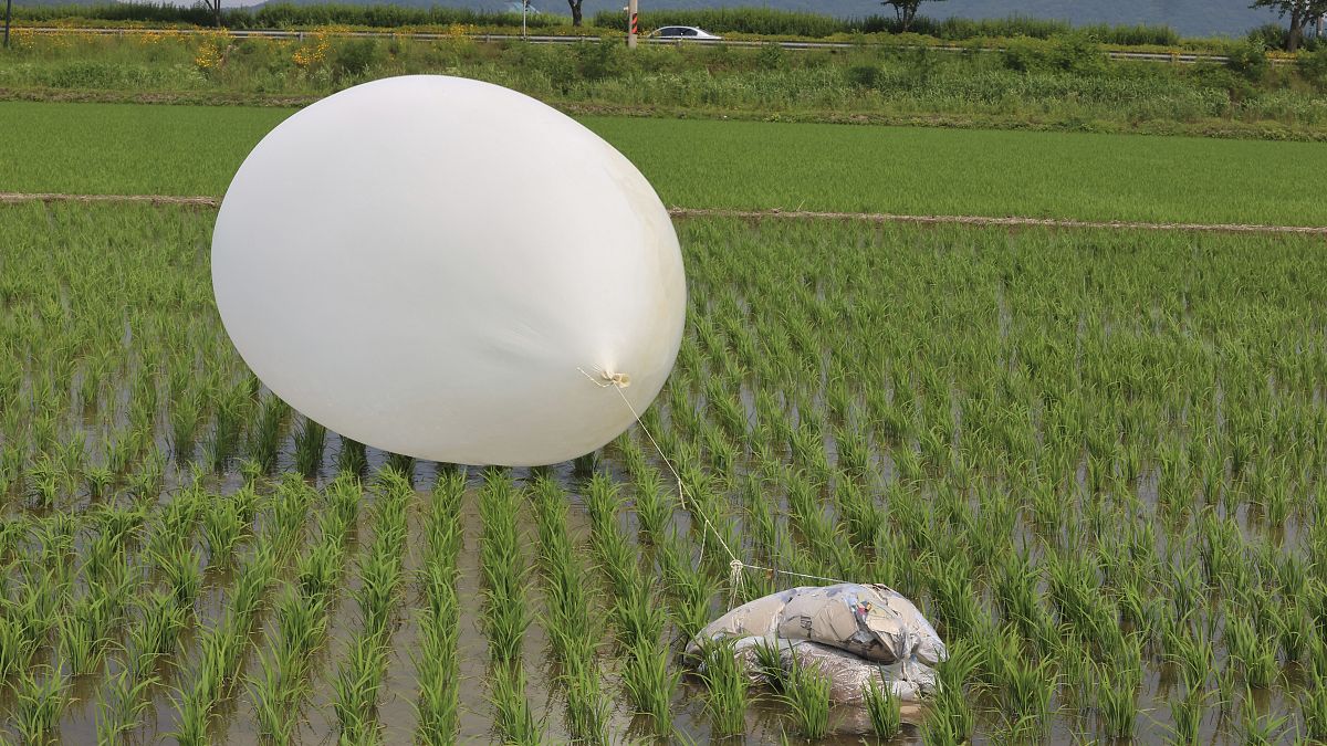 FILE: A balloon sent by North Korea is seen in a paddy field in Incheon, South Korea, 10 June 2024