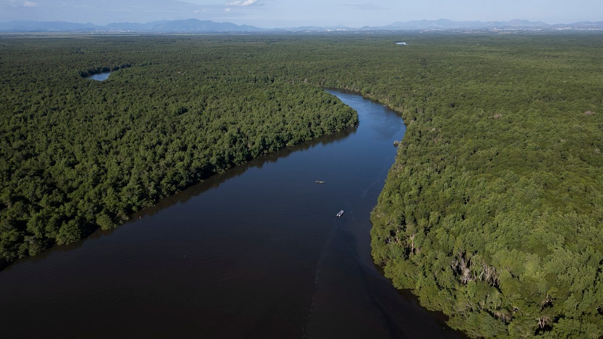 An aerial view of a mangrove recovered from deforestation in the Guapimirim environmental protection area on Guanabara Bay, Rio de Janeiro state, Brazil.