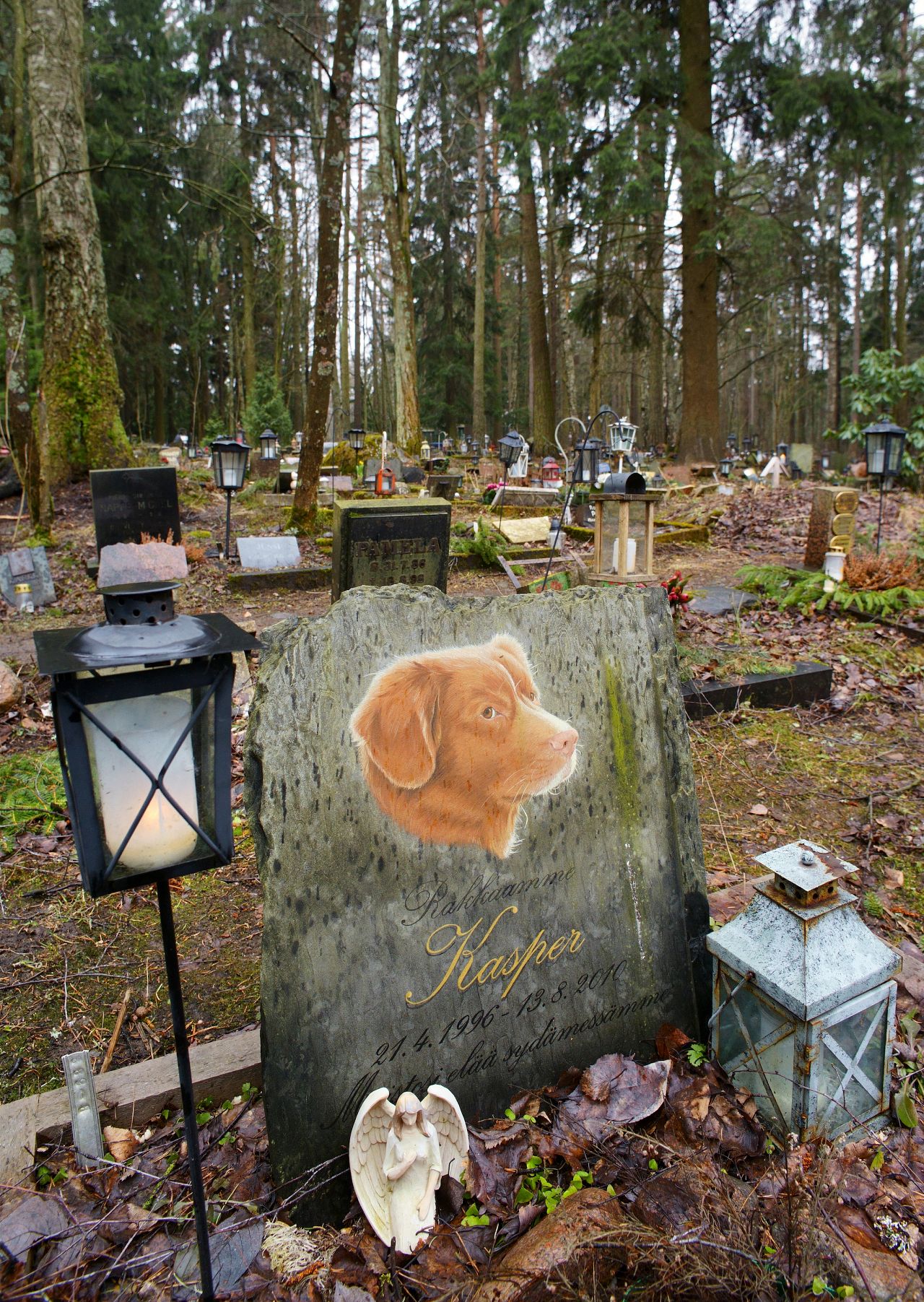 Le cimetière d'animaux de compagnie d'Helsinki présente des portraits d'animaux de compagnie peints à la main. 