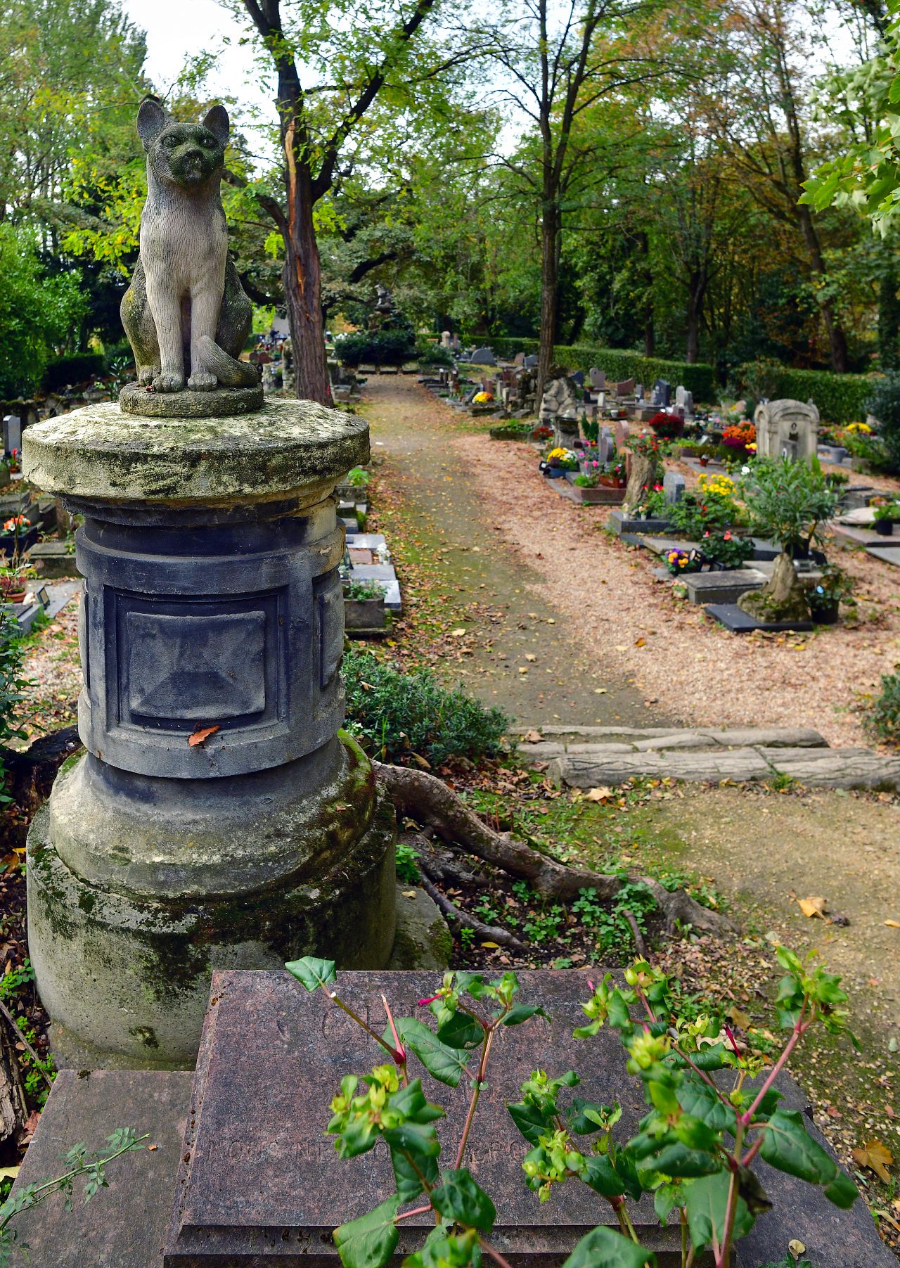   Le célèbre Cimetière des Chiens et Autres Animaux Domestiques à Paris, France. 