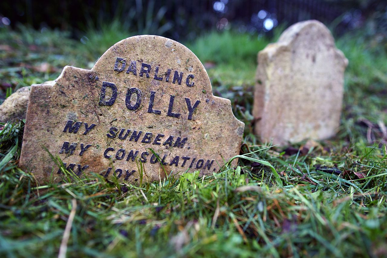 Darling Dolly dans le cimetière des animaux de Hyde Park. 