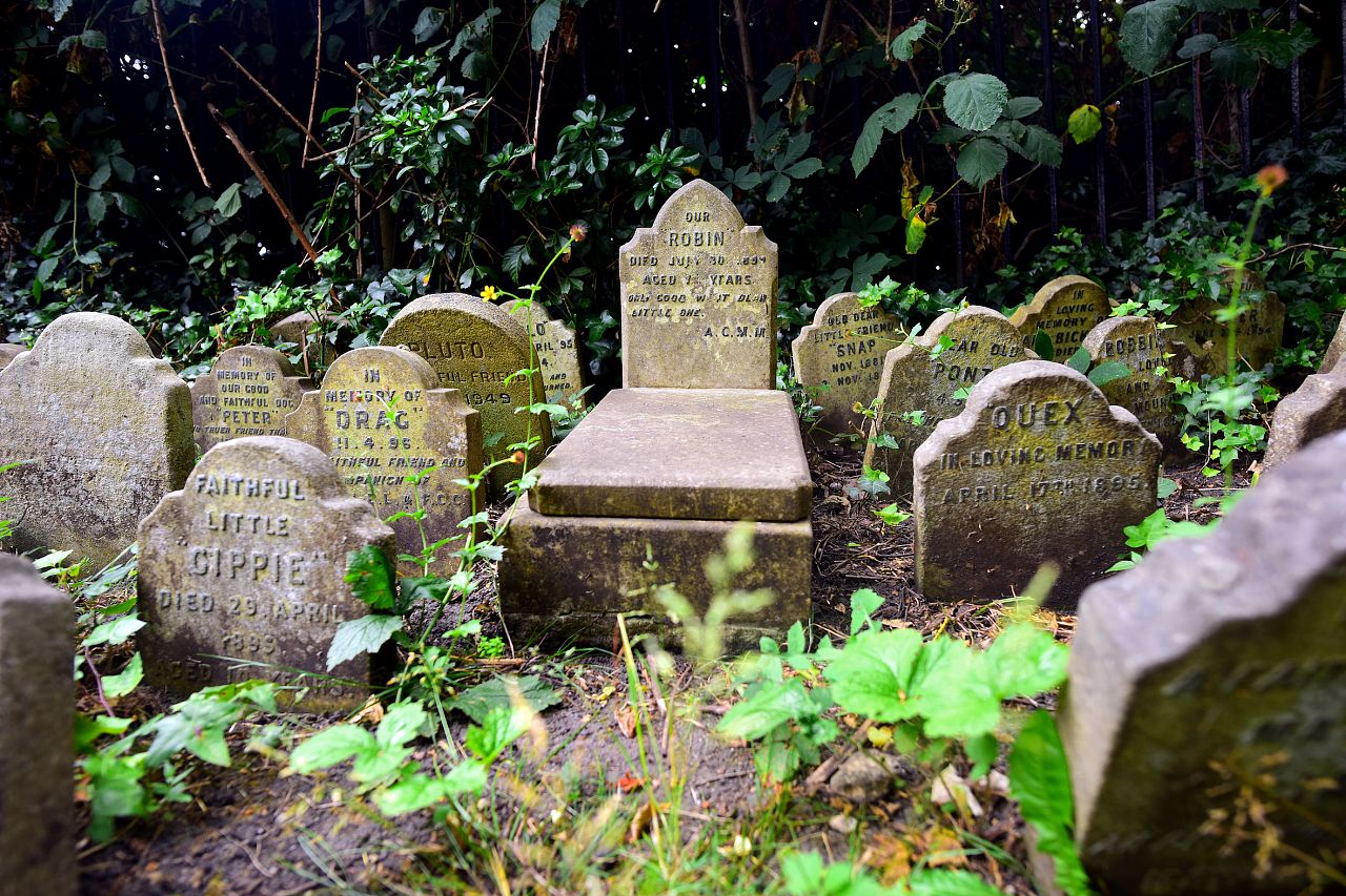 Le premier cimetière officiel d'animaux de compagnie à Hyde Park à Londres. 