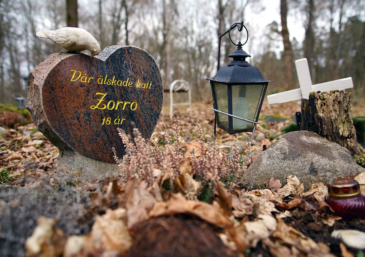 Une tombe d'animal de compagnie dans un cimetière de Stockholm, en Suède.