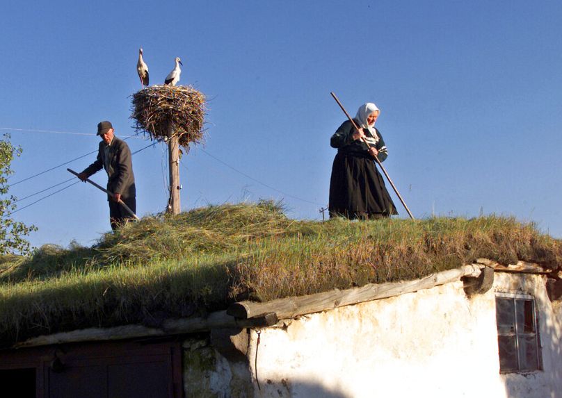 DOSSIER - Vassilii Kalmykov, 70 ans, et sa femme Lukerya, 68 ans, ramassent de l'herbe sur le toit d'un hangar dans un village de Gorelovka en Géorgie, le 31 juillet 2005.