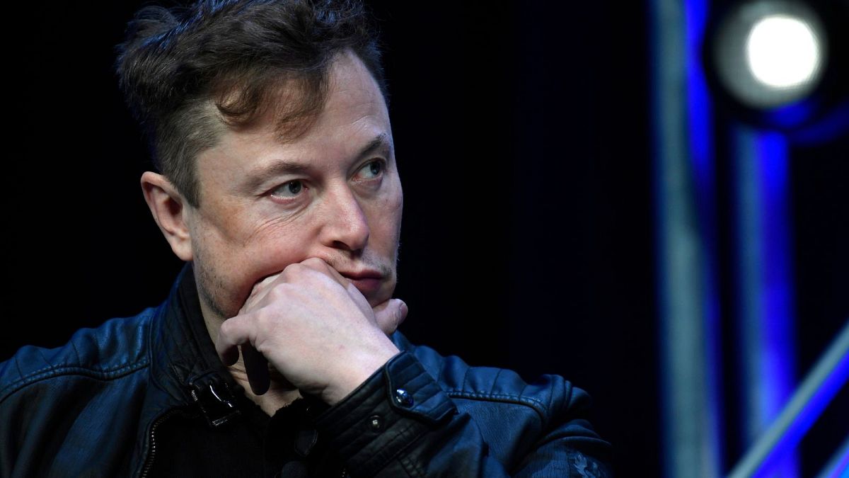 Elon Musk was nominated for the prize by two far-right groups in the European Parliament but failed to make the shortlist