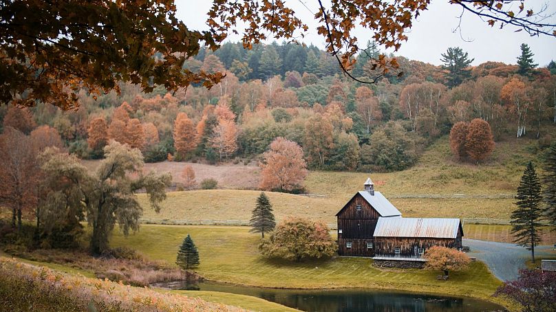 L'automne dans le Vermont, aux États-Unis, est considéré comme l'endroit le plus sûr où vivre pendant la crise climatique. 