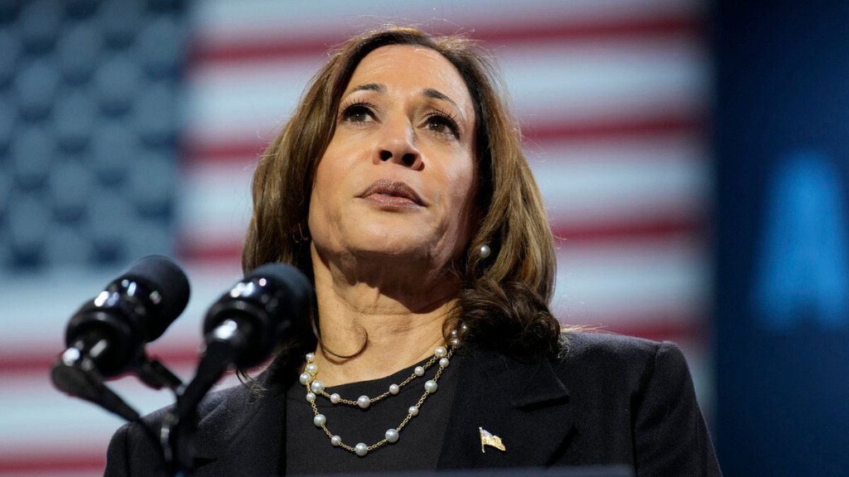 Democratic presidential nominee Vice President Kamala Harris speaks during a campaign rally at Erie Insurance Arena, in Erie, Pa., Monday, Oct. 14, 2024.